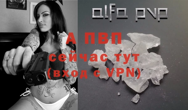 стаф Белокуриха