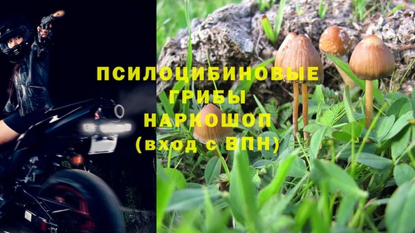 стаф Белокуриха